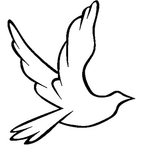 香港三级片风流三侠
